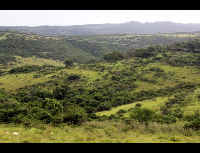 168HA FARM FOR SALE IN EAST LONDON RURAL